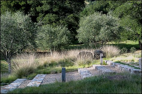 Bernard Trainor, Landscape Stairs, Landscape Steps, Pinterest Garden, Stone Steps, Dry Garden, Gravel Garden, Garden Steps, Coastal Gardens