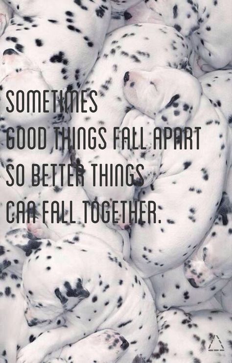 Dalmatian Quotes by @quotesgram Dalmatian Quotes, Dog Quotes Inspirational, Quotes By Authors, Sharing Quotes, Dog Quotes, Dalmatian, Famous Quotes, Authors, Quotes