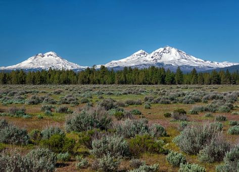 The Three Sisters are mountain peaks that belong to the Cascade Volcanic Arc. The South Sister erupted about 2,000 years ago, and it's possible that it could erupt again. With an elevation of more than 3,000 m (10,000 ft), they occupy the third, fourth, and fifth place among Oregon's peaks by their Three Sisters Mountain, Oregon Tattoo, Oregon Mountains, Oregon Landscape, Sisters Oregon, Mantle Ideas, The Three Sisters, Mountain Images, Alpine Meadow