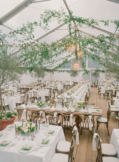 Clear Marquee Wedding Decor, Italian Tent Wedding, Courtyard Wedding Decorations, Italian Courtyard Wedding, Court Yard Wedding, Sage And Ivory Wedding, Clear Tent Wedding, Italian Courtyard, Tent Weddings