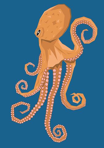 400+ Octopus Pictures & Images [HD] Octopus Pictures, Octopus Illustration, Children Book Cover, Flat Illustration, Iphone Photography, Pictures Images, Free Illustrations, Image Hd, Image Illustration