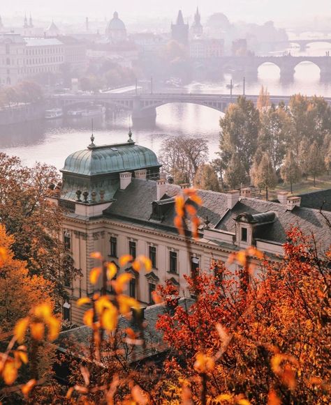 Discover beauty in textures and details, uncover secrets and stories lost in old world architecture among pops of seasonal colors. #DesignInspo #OldWorld #Architecture #AutumnBeauty Prague Autumn, Prague Architecture, Pictures Of Beautiful Places, World Architecture, Autumn Beauty, Mood Board Fashion, Cherry Pie, Travel Organization, In The Fall