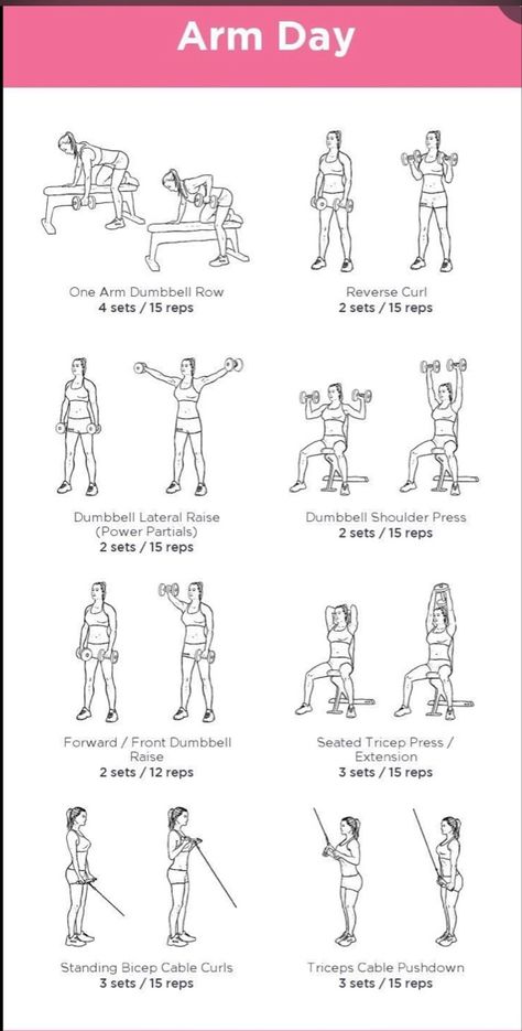 Arm Day Routine, Defined Arms, Workout Gym Routine, Workout Program Gym, Gym Workout Plan For Women, Day Routine, Tricep Dips, Workout Plan For Women, Arm Day