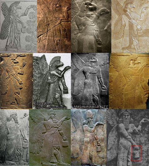 Annunaki. All have wings. All are wearing bracelets with a disc. All are carrying a pouch with handle in one hand, and thrusting a pine cone forward with the other. Note the mechanical looking musculature, the tassels, the fringed robes, the cigar shaped implements tucked into their sashes. Note the squared beards on some, the finned heads of the others. Can anyone explain these? Alien Theories, Egiptul Antic, Ancient Astronaut, Ancient Technology, Aliens And Ufos, Mystery Of History, Ancient Egyptian Art, Ancient Knowledge, Ancient Mysteries