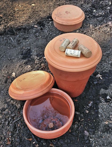 Building Our Dream Homestead - Garden Irrigation with Ollas Ollas are an... Clay Pot Irrigation, Bulbous Plants, Organic Waste, Hydration Station, Homestead Gardens, Potager Garden, Veg Garden, Garden Irrigation, Garden Structures