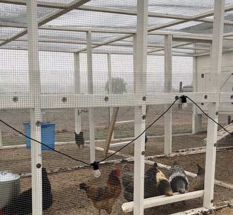 Attaching Hardware Cloth To Chicken Run, Hardware Cloth Chicken Coop, Coop Windows, Chicken Fence, Best Cover Up Tattoos, Coop Run, Chicken Coop Run, Hardware Cloth, Chicken Run