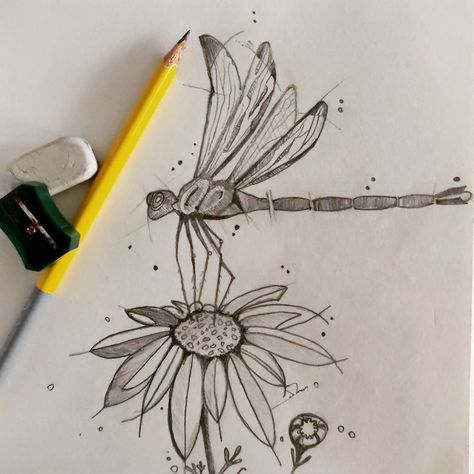 Dragon Fly Reference, Dragonfly On Flower Drawing, Dragon Fly Drawing Sketch, Drangfly Drawing, Dragonfly Sketches, Dragon Fly Drawing Simple, Dragonfly Drawing Art, Dragonfly Drawing Sketch, Dragon Fly Drawings