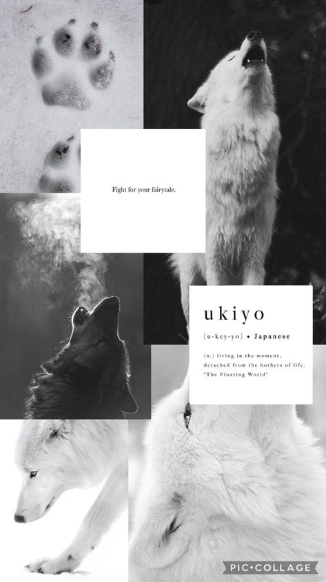 White wolf aesthetic wallpaper background white blanc Wolf Aesthetic, The Wolf, White