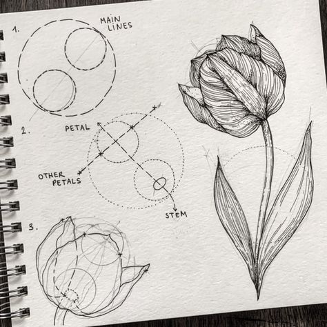 Alice on Instagram: “▫️Tulip▫️ . To draw a Tulip 🌷that’s what you need: a pencil, a pen, an eraser and an adhesive tape. Swipe to see why you need the last one…” Draw A Tulip, Plant Doodles, Draw Flowers, Flower Drawing Tutorials, Nature Sketch, Easy Drawing Tutorial, Floral Drawing, Art Daily, Drawing Tutorial Easy