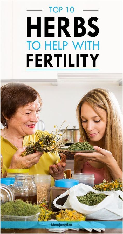 Top 10 Herbs To Help With #Fertility : Read our post and learn about some incredible herbs to promote fertility here. Fertility Herbs, Herbs For Fertility, Fertility Help, Herbs And Plants, Fertility Clinic, Anti Oxidant Foods, Fertility Foods, Fertility Testing, Pregnancy Checklist