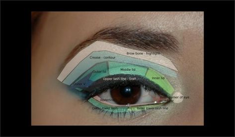 Make-Up Moves: Parts of the Eye – Your Chic is Showing Funky Eye Makeup, Makeup Names, Makeup Geek Eyeshadow, Bright Eye Makeup, Parts Of The Eye, Applying Eye Makeup, Beautiful Eye Makeup, Makeup For Teens, Makeup For Beginners