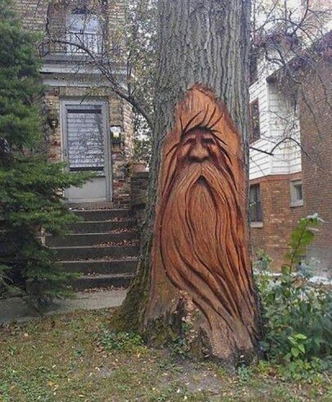 JET Woodworking (@jet.woodworking) on Instagram: Tree Carvings, Mystical Nature, Boom Kunst, Tre Kunst, Tree Spirits, Amazing Trees, Tree Faces, Wood Spirit, Tree Spirit