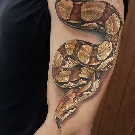 Boa constrictor by Led Coult #LedCoult #color #realism #snake #boa #reptile #tattoooftheday Boa Snake Tattoo, Traditional Snake, Traditional Snake Tattoo, Tattoo Snake, Serpent Tattoo, Boa Constrictor, Head Tattoo, Snake Tattoo Design, Snake Head