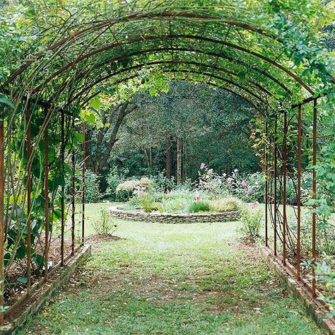 Pergola Walkway, Wisteria Tunnel, Metal Arbor, Wooden Arbor, Arbors Trellis, Pergola Swing, Metal Pergola, Pergola Design, Garden Vines