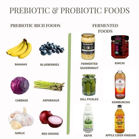 Prebiotic Foods, Vegan Probiotics, Gut Health Diet, Gut Health Recipes, Prebiotics And Probiotics, Probiotic Foods, Holistic Nutrition, Healing Food, Food Facts