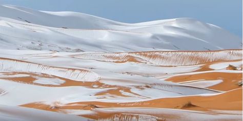 Desert Snow, Cold Desert, Cold Deserts, Chinese Buddhism, Snow Falls, Hot Desert, Tao Te Ching, The Sahara Desert, Flying Fish