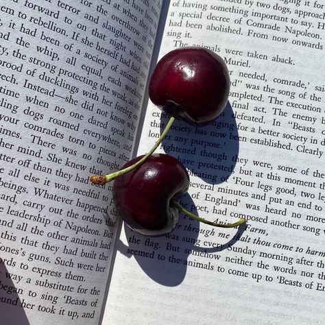 summer cherries and summer reading Summer Cherries, Beach Reading, 2024 Vision, Instagram Inspo, Summer Reading, Summer Vibes, Cherry, Blush, Wine