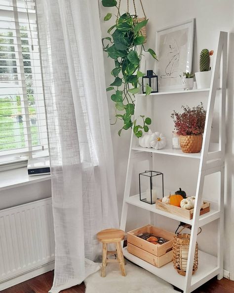 Ladder Shelf Decor Bedroom, Ladder Shelf Decor, Shelf Decor Bedroom, Aesthetic House, Diy Wall Art Decor, Ladder Shelf, Clothing Photography, Boy Clothes, Lounge Room