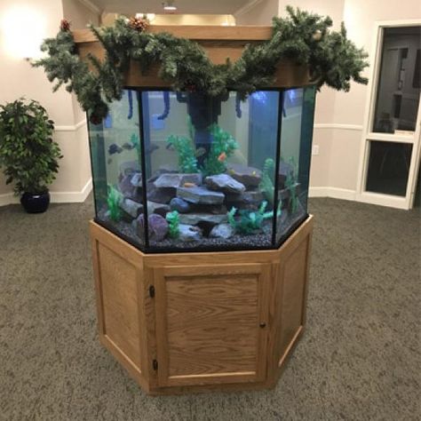 Hexagon Fish Tanks - Custom Aquariums Octagon Fish Tank, Hexagon Aquarium Ideas, Hexagon Fish Tank, Home Shark Tank Aquarium, Starwars Fish Tanks, Ranchu Goldfish Tank, Acrylic Aquarium, Aquarium Led, Rimless Aquarium