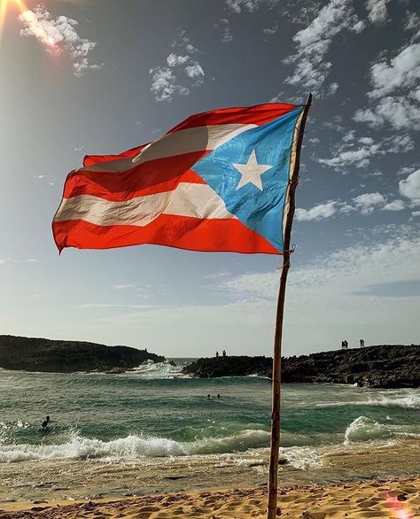 Adventure Puerto Rico🇵🇷 on Instagram: “🙌🌊🇵🇷¿Del 1 al 10 que tan boricua eres? 📸Foto por: (@luigui25) 👤Instagram: @adventure_puertorico . . . . . #puertorico #pr #boricua…” Puerto Rican Flag, Puerto Rican Pride, Puerto Rican Culture, Flag Wallpaper, Puerto Rico Flag, Tropical Rainforest, Beach Bars, Puerto Rican, Caribbean Islands