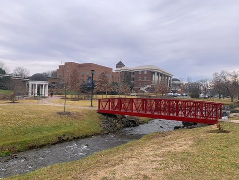 Winchester, Virginia, Shenandoah University. Shenandoah University, Winchester Virginia, Winchester, Virginia, University, History