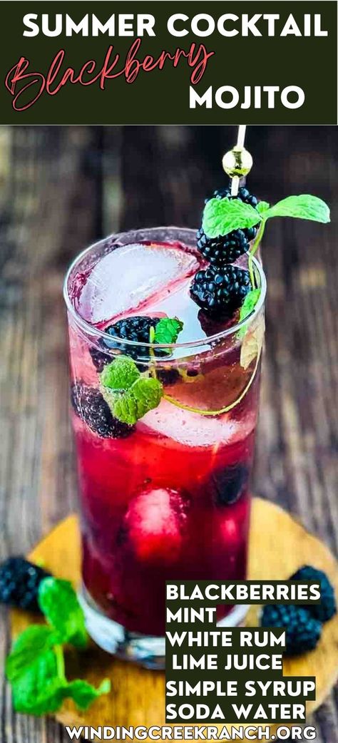 Blackberry mojito in a tall glass, garnished with blackberries and mint leaves. Blackberry Mojito Recipe, Mojito Recipe Pitcher, Easy Mojito Recipe, Blackberry Mojito, Easy Brunch Ideas, Ranch Recipes, Blended Cocktail, Mint Mojito, Mojito Cocktail