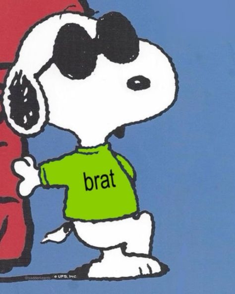 maybe the real brat summer is the friends we made along the way Brat Summer, Snoopy Dog, First Youtube Video Ideas, Snoopy Pictures, Dorm Posters, Snoop Dog, Girl Dinner, Bratz Doll, Charli Xcx