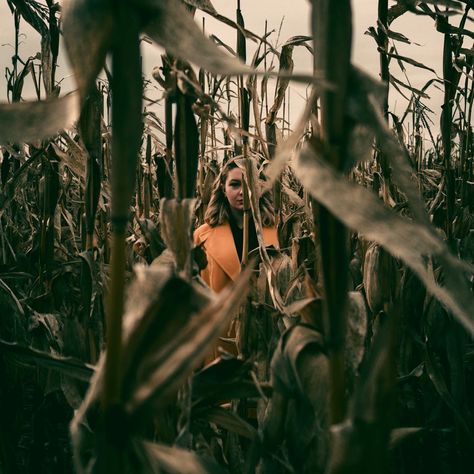 Creepy Halloween Photoshoot Ideas, Halloween Cornfield Photoshoot, Cornfield Halloween Photoshoot, Halloween Cinematic Photography, Halloween Forest Photoshoot, Clown In A Cornfield Aesthetic, Cryptid Photoshoot, Creepy Halloween Photoshoot, Halloween Self Portraits