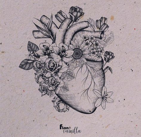 Anatomic Heart Tattoo, Heart Organ Tattoo, Real Heart Tattoos, Human Heart Tattoo, Anatomy Tattoo, Heart With Flowers, Memories Ideas, 10 Tattoo, Anatomical Heart Tattoo