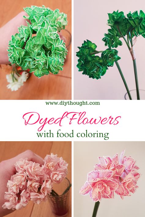 Food Coloring Crafts, Science Project For Kids, Fake Flowers Diy, Dyed Flowers, Dye Flowers, Kids Science, Science Projects For Kids, Diy Projects For Kids, Carnation Flower