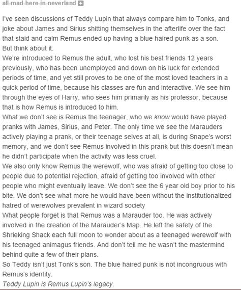 Remus and Teddy Lupin Punk Remus Lupin, Remus Lupin Werewolf Transformation, Teddy Lupin, Harry Potter Next Generation, Remus Lupin, Harry Potter Headcannons, Harry Potter Marauders, Harry Potter Love, Wizarding World Of Harry Potter