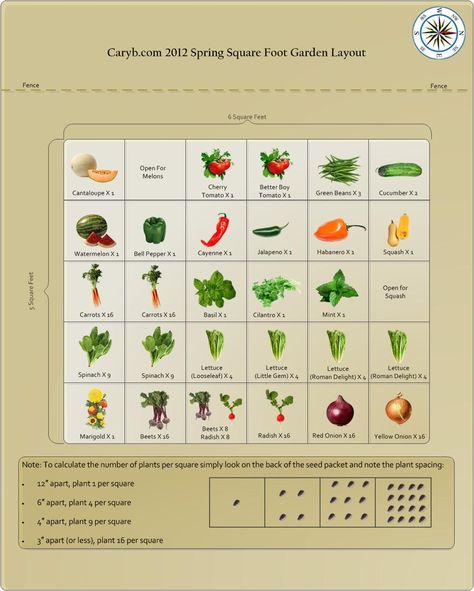 great info about square foot gardening and how many plants to fit per square foot Square Foot Gardening Plans, Seed Spacing, Square Foot Gardening Layout, Lasagna Gardening, Garden Plots, Garden Fun, Square Foot Gardening, Veg Garden, School Garden