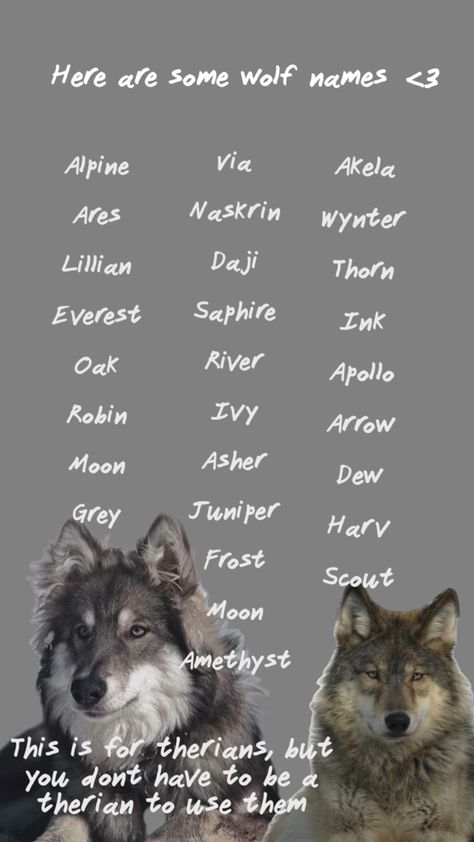 Male Wolf Names, Therian Name Ideas, Clan Name Ideas, Therian Names, Therian Den, Wolf Names, Therian Tips, Werewolf Name, Indian Wolf