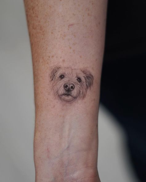 Small Dog Face Tattoo, Single Needle Dog Tattoo, Pet Face Tattoo, Micro Dog Tattoo, Dog Tattoo Realism, Small Dog Portrait Tattoo, Dog Face Tattoo, Animal Pfp Funny, Realism Animal Tattoo