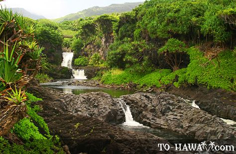 7 Sacred Pools Maui, Seven Sacred Pools Maui, Hawaii 2023, Westin Maui, Things To Do In Maui, Maui Activities, Maui Resorts, Kaanapali Beach, Haleakala National Park