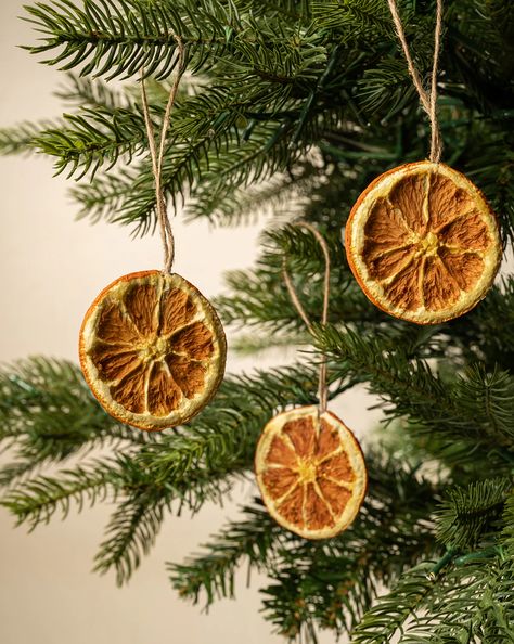 Woodland Christmas Tree, Orange Ornaments, Cottagecore Christmas, Fruit Display, Dried Orange Slices, Dried Oranges, Orange Decor, Natural Christmas, Christmas Inspo