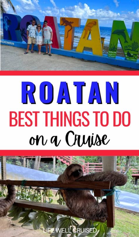 Things to Do in Roatan Cruise Port Wildlife Crafts, Western Caribbean Cruise, Glass Bottom Boat, Western Caribbean, Cruise Excursions, Plan Your Day, Dream Cruise, Roatan, Best Cruise