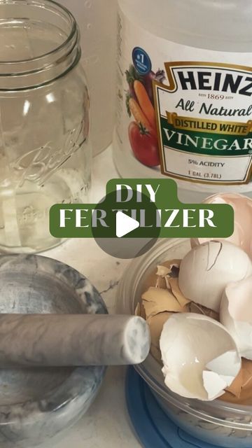 How To Fertilize Garden, Eggshell Fertilizer, Garden Hack Ideas, Homemade Fertilizer, Diy Fertilizer, Vege Garden, Flower Fertilizer, Tomato Trellis, Calcium Deficiency