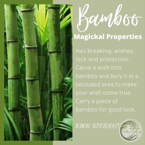 Bamboo Magical Properties, Flower Witchcraft, Hedge Witchcraft, Herbs For Protection, Food Magic, Magickal Herbs, Medicinal Herbs Garden, Witch Herbs, Sweet Magic