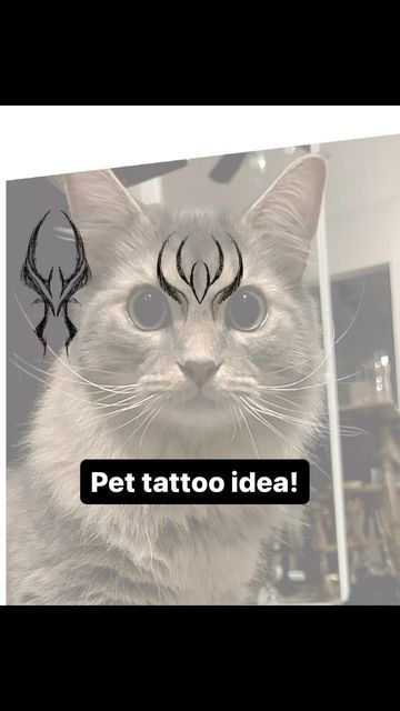 Manx Cat Tattoo, Cat Fur Pattern Tattoo, Maincoon Tattoo, Cat Forehead Tattoo, Cat Head Pattern Tattoo, Tattoo Of Cat, Pet Remembrance Tattoo Cat, Cat Memorial Tattoo Ideas, Cat Marking Tattoo