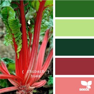 Rhubarb colours for patio cushions and pillows Rosa Coral, Design Seeds, Green Carpet, Color Palette Design, Nursery Inspiration, Carpet Design, Color Stories, World Of Color, Colour Schemes