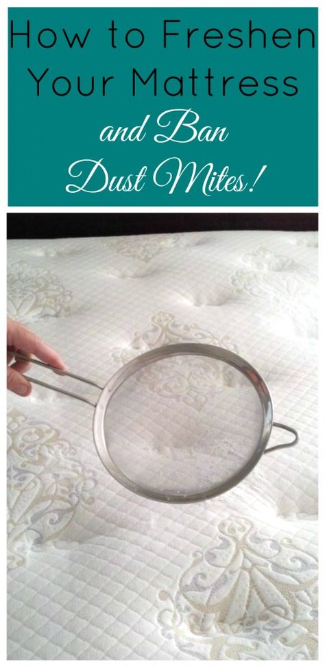 How to Freshen Your Mattress and Ban Dust Mites! Your bed deserves this easy cleaning tip, and so do you! Freshen Mattress, Daily Cleaning Routine, Cleaning Painted Walls, Routine Tips, Mattress Cleaning, Deep Cleaning Tips, Daily Cleaning, Dust Mites, Cleaning Routine