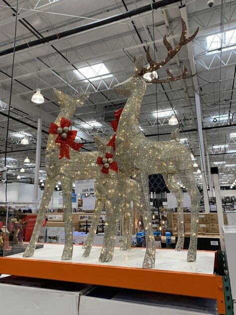 Costco sells this Lighted Deer Family 3 Piece Set for $169.99. Last year, Costco sold the Set of 2 Lighted Deer for $149.99. This seems like a great deal to get the 3rd deer for only $30 more. As you can see it looks like there are 2 larger deer accompanied by a smaller baby deer or fawn. I've seen these in the neighborhood & they really like wonderful at night. Click here for more info......https://costcofan.com/lighted-deer-family-3-piece-set-costco/ Christmas Deer Decorations Outdoor, Outdoor Christmas Reindeer, Outdoor Xmas Lights, Outdoor Reindeer, Deer Decorations, Christmas Deer Decorations, Exterior Christmas Lights, Big Buck, Xmas 2024