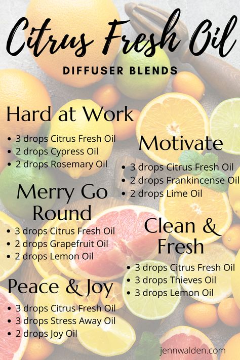 Find out why Citrus Fresh is one of my TOP 30 essential oils.  Info on usage, diffuser blends, and roller recipes.  #essentialoils #citrusfresh #diffuserblends #top30essentialoils Citrus Fresh Essential Oil, Essential Oil Combinations, Doterra Essential Oils Recipes, Essential Oil Diffuser Blends Recipes, Young Living Essential Oils Recipes, Essential Oils Guide, Essential Oils Cleaning, Essential Oils Herbs, Essential Oil Diffuser Recipes