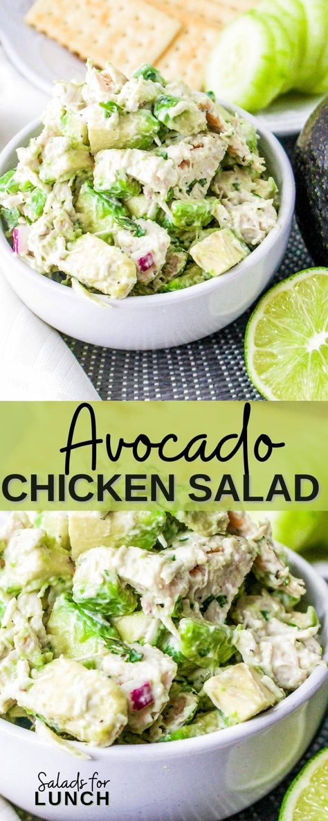 Creamy Avocado Chicken Salad, Chicken Salad Recipe With Avocado, Avocado And Chicken Salad, Healthy Chicken Salad Sandwich Recipe, Chicken Avacacado Salad Recipes, Chicken Avocado Burrito, Avocado Chicken Recipes, Green Salad With Chicken, Chicken Avacado