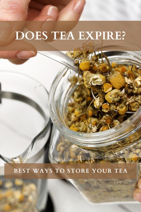 does tea expire? Organize Loose Leaf Tea, Loose Leaf Tea Display, How To Store Loose Leaf Tea, Loose Tea Storage Ideas, Loose Leaf Tea Aesthetic, Loose Tea Organization, Loose Leaf Tea Storage, Tea Therapy, Health Cooking