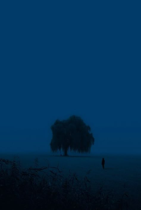 WELCOME Dark Naturalism, Blue Aesthetic Dark, Foto 3d, Dark Blue Wallpaper, Night Scenery, Blue Hour, Cinematic Photography, Night Sky Photos, Dark Photography