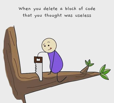 That useless block of code Computer Science Humor, Science Quotes Funny, Programing Jokes, Coding Humor, Programmer Jokes, Programming Humor, Engineering Memes, Computer Humor, Science Quotes