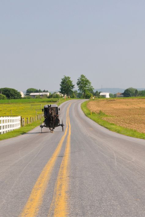 America Core, Rumspringa, Amish Buggy, Amish Lifestyle, Amish Living, Nancy Drew Mystery Stories, Amish House, Amish Culture, People Reference