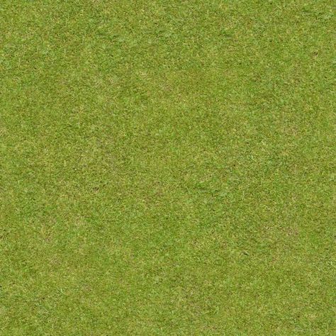 Short, flattened green grass with thick blades. Texture is consistent throughout... -  Short, flattened green grass with thick blades. Texture is consistent throughout. Grass Texture Seamless, Brushed Metal Texture, Stone Wall Texture, New Instagram Logo, Dark Garden, Urban Furniture, Photoshop Textures, Material Textures, Green Lawn